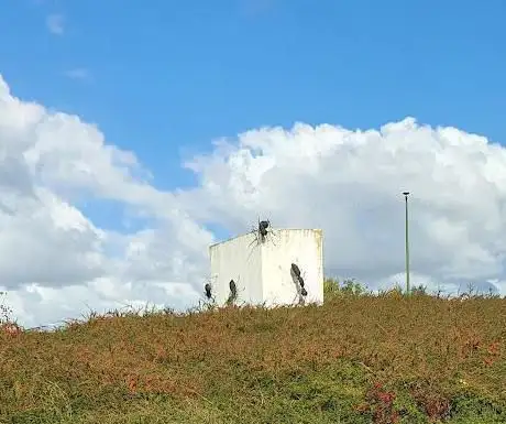 Photo de Rond point