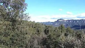 Photo de Bosc de Coll Monner