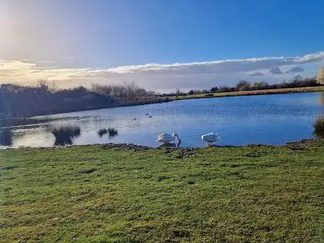 Photo de Bedfords Park Deer Enclosure