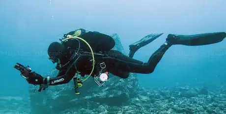 Photo de Purple Turtle Diving