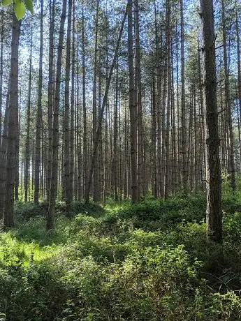 Photo de Goshawk Trail