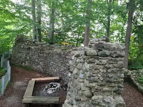 Ruine Helfenberg