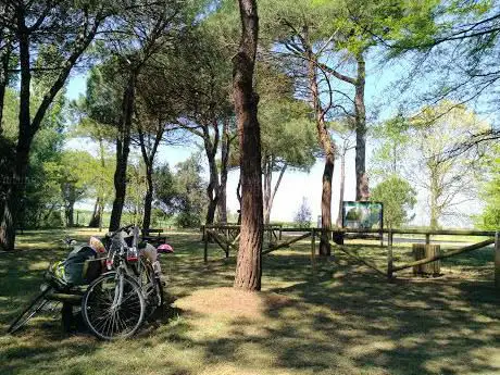 Photo de Pineta Cassella