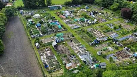 Hill Crest Allotment