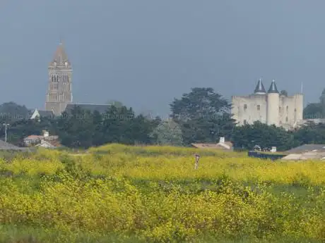 Photo de Les balades de Nicolas Guide touristique Noirmoutier