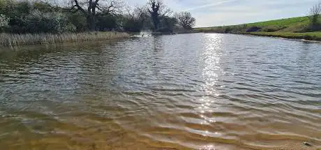 Photo de Stanford Wharf Nature Reserve