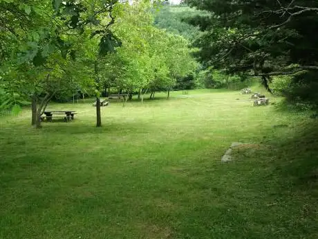 Photo de Parc de Vira