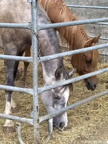 Photo de Jm Ranch