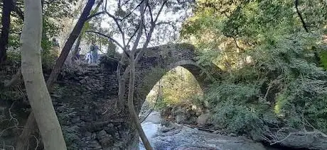 Ponte dei Saraceni