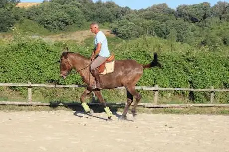 Photo de A.S.D. HORSE VILLAGE ROMA