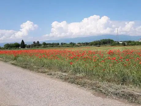 la natura per tutti
