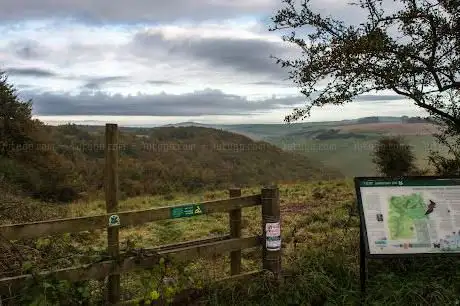 Photo de Melbury Abbas nature reserve