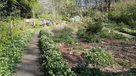 Bedford Fields Community Forest Garden