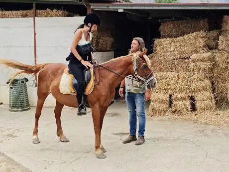 Photo de Amico Cavallo - Riding Palermo