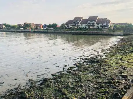Photo de Shingle Beach