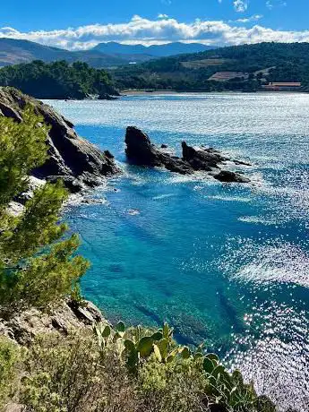 Photo de Plage des oursins