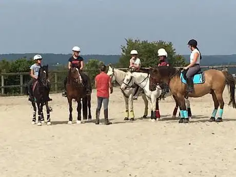Valjoly Equitation Earl