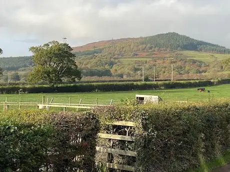 Great Ayton