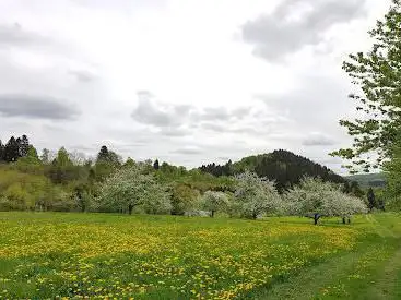 Oppig Grät Wanderweg