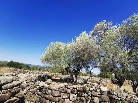 Villaggio Nuragico di Serra Orrios