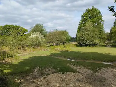 Photo de Linford Bottom