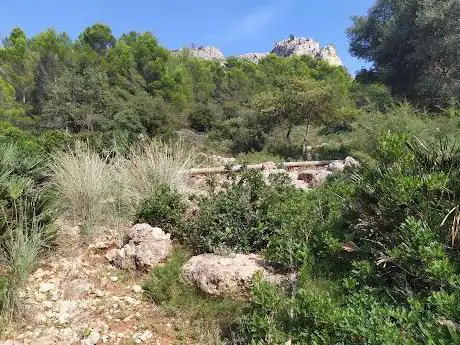 Photo de Corral De Lloret