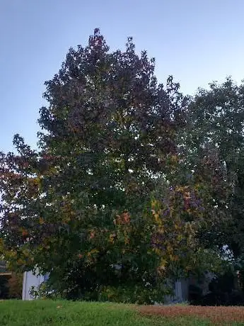 Photo de Parc Bois Lafitte