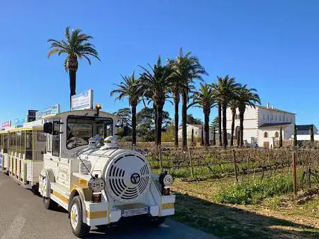 Photo de Le Petit Train de la Londe les Maures