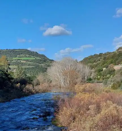 Rio Massari