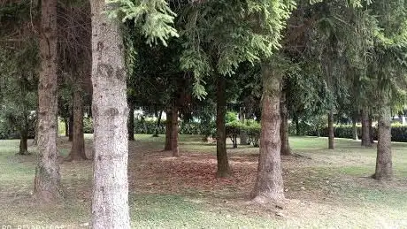 Parco