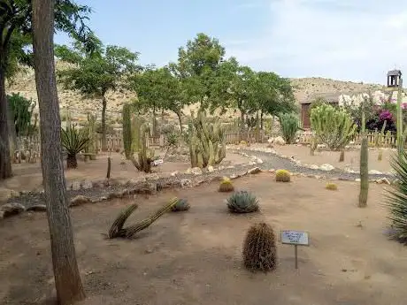 Photo de Botánico de cactus