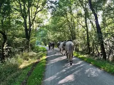 Photo de Ferme équestre La Haie Du