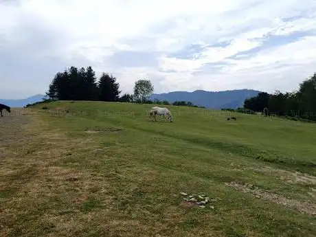 Photo de Antiguo aeródromo monte ilso