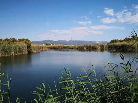Photo de Basses de Can Dimoni