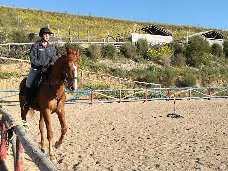 Centro Equestre