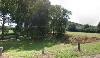 Marécage au Roseau