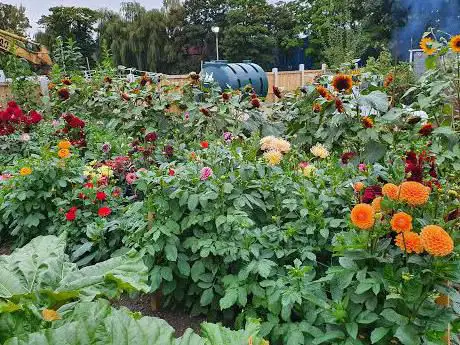 Photo de Strawberry Island Allotments