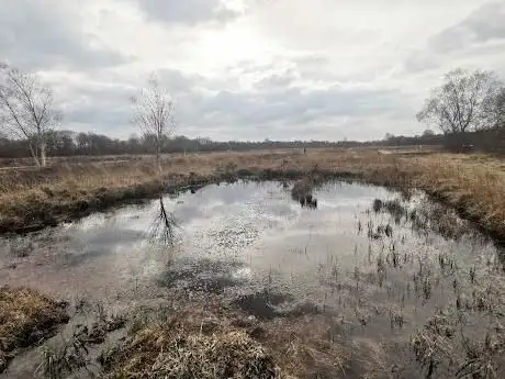 Photo de RSPB NI Montiaghs Moss Nature Reserve