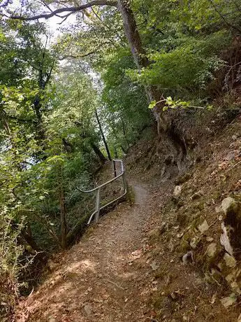 Photo de Escaliers de Montreux