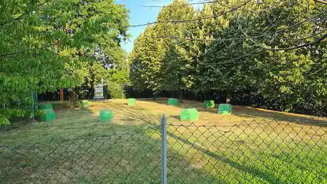 Dog area