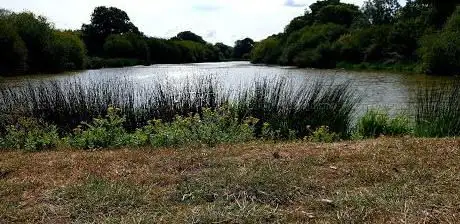 Photo de Hammer Pond