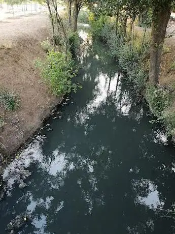 Photo de Alcalde Francho Park