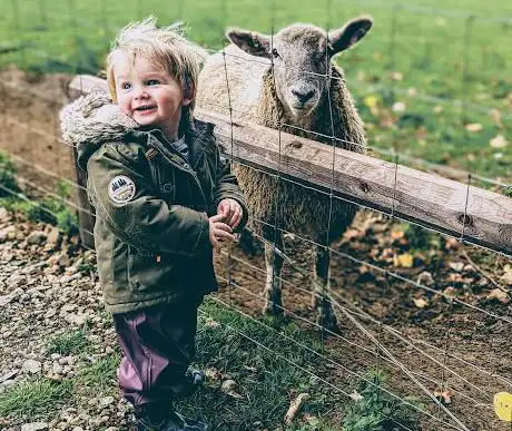 Photo de East Lodge Open Farm