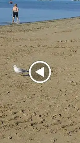 Spiaggia Libera di Ponente