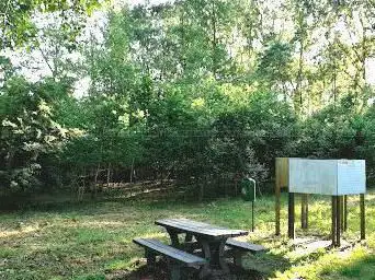 Geboortebos