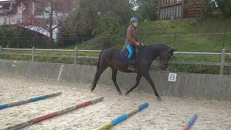 Photo de Goldeisenhof