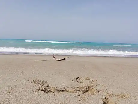 Photo de Portigliola's Beach
