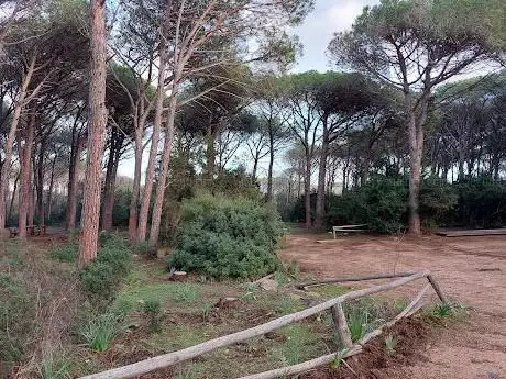 Area picnic libera di fianco al Bar