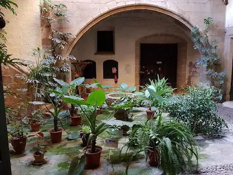 Photo de Palacio de Mirabel
