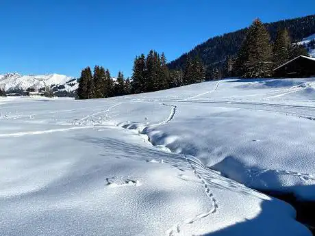 Photo de Télé Leysin - Col des Mosses - La Lécherette SA